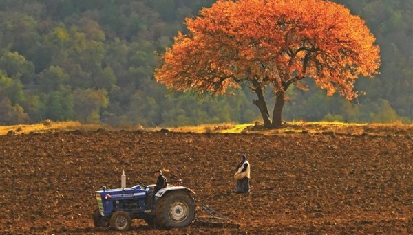 Ocak 2022 Tarımsal Girdi Fiyat Endeksi